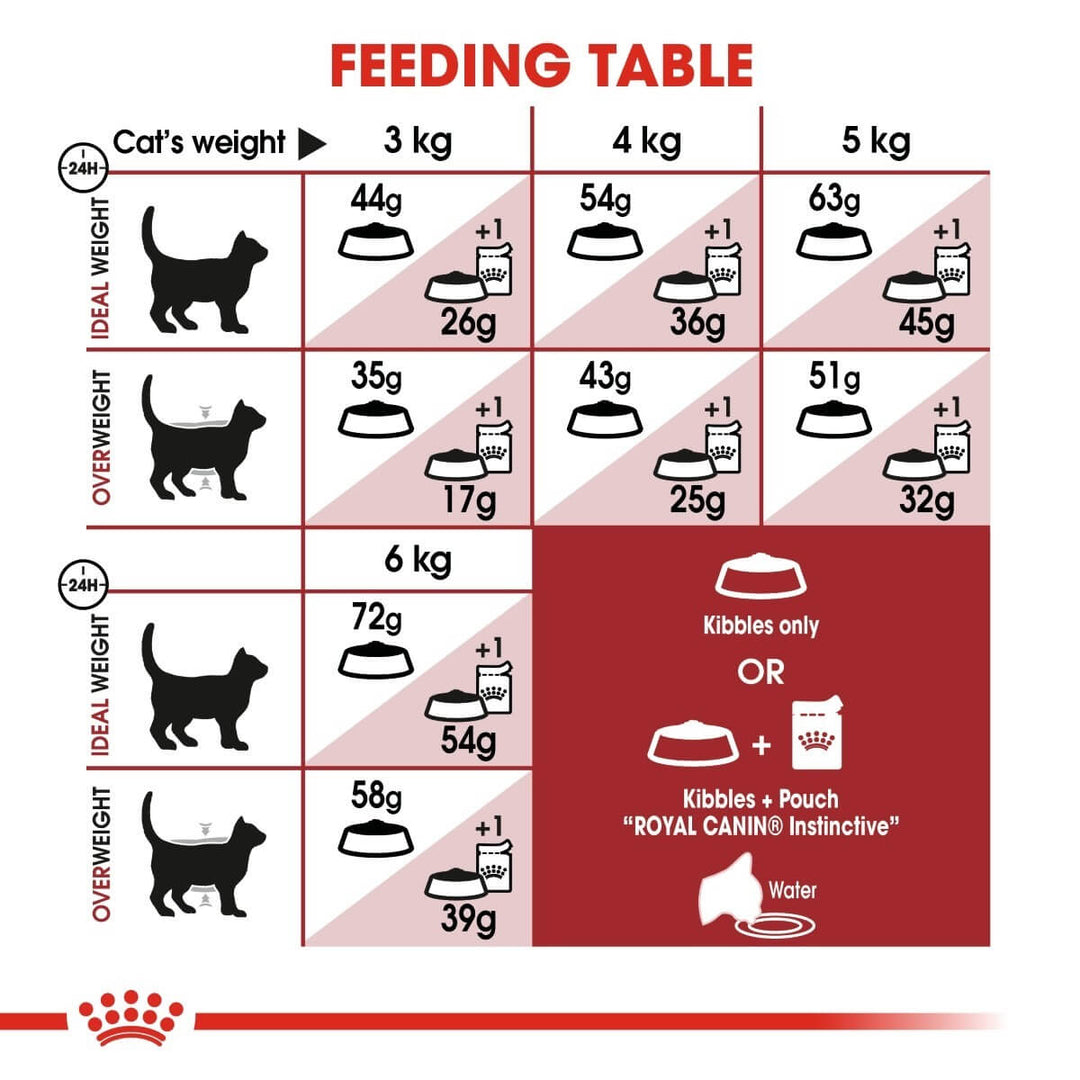 Feeding table chart for cats with weight categories and food portions.