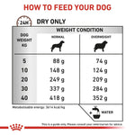 Load image into Gallery viewer, Dog food feeding chart指导如何喂养您的狗，仅限干粮。

