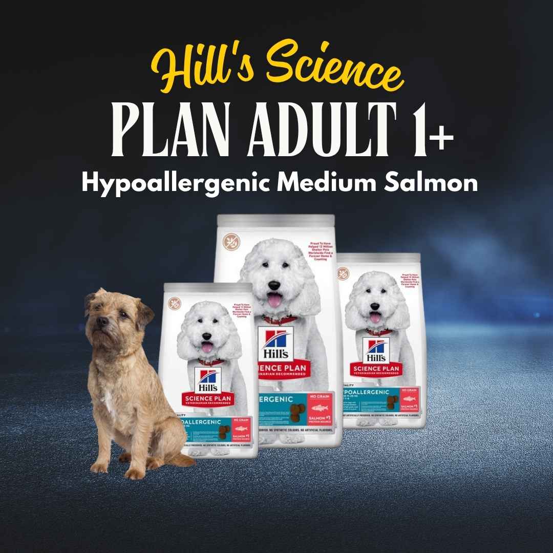 Hill's Science Plan Adult 1+ Salmon