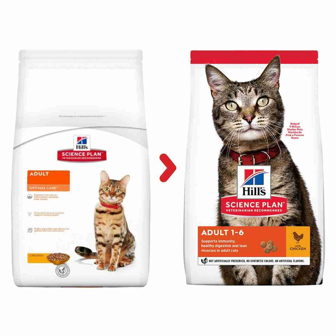 Balanced chicken cat kibble