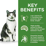 Load image into Gallery viewer, Cat with key benefits of a pet food product on a green background
