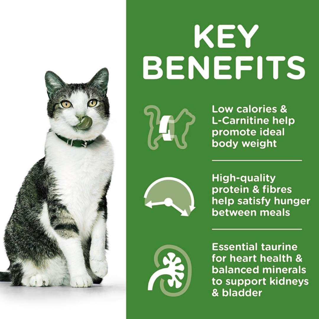Cat with key benefits of a pet food product on a green background
