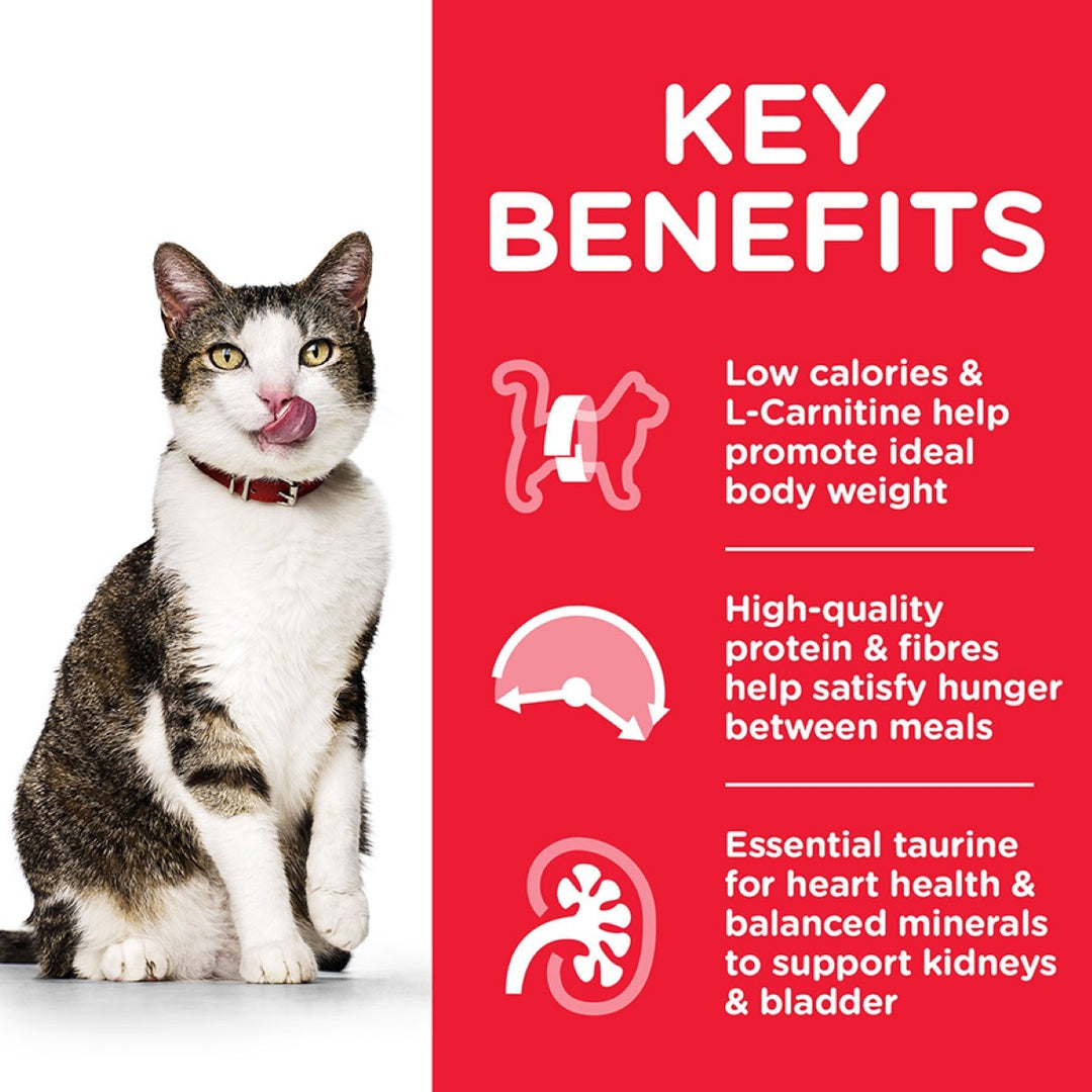 Science Plan senior cat kibble