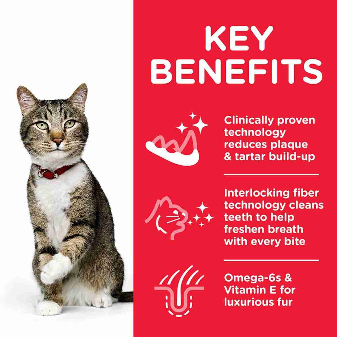 Science Plan cat food oral