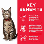 Load image into Gallery viewer, Adult cat poultry selection

