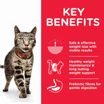 Load image into Gallery viewer, Wet cat food for healthy weight
