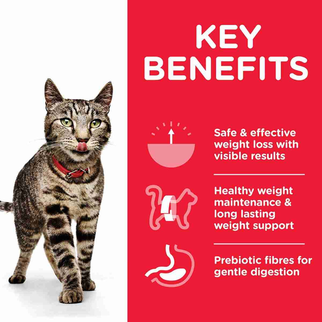 Wet cat food for healthy weight