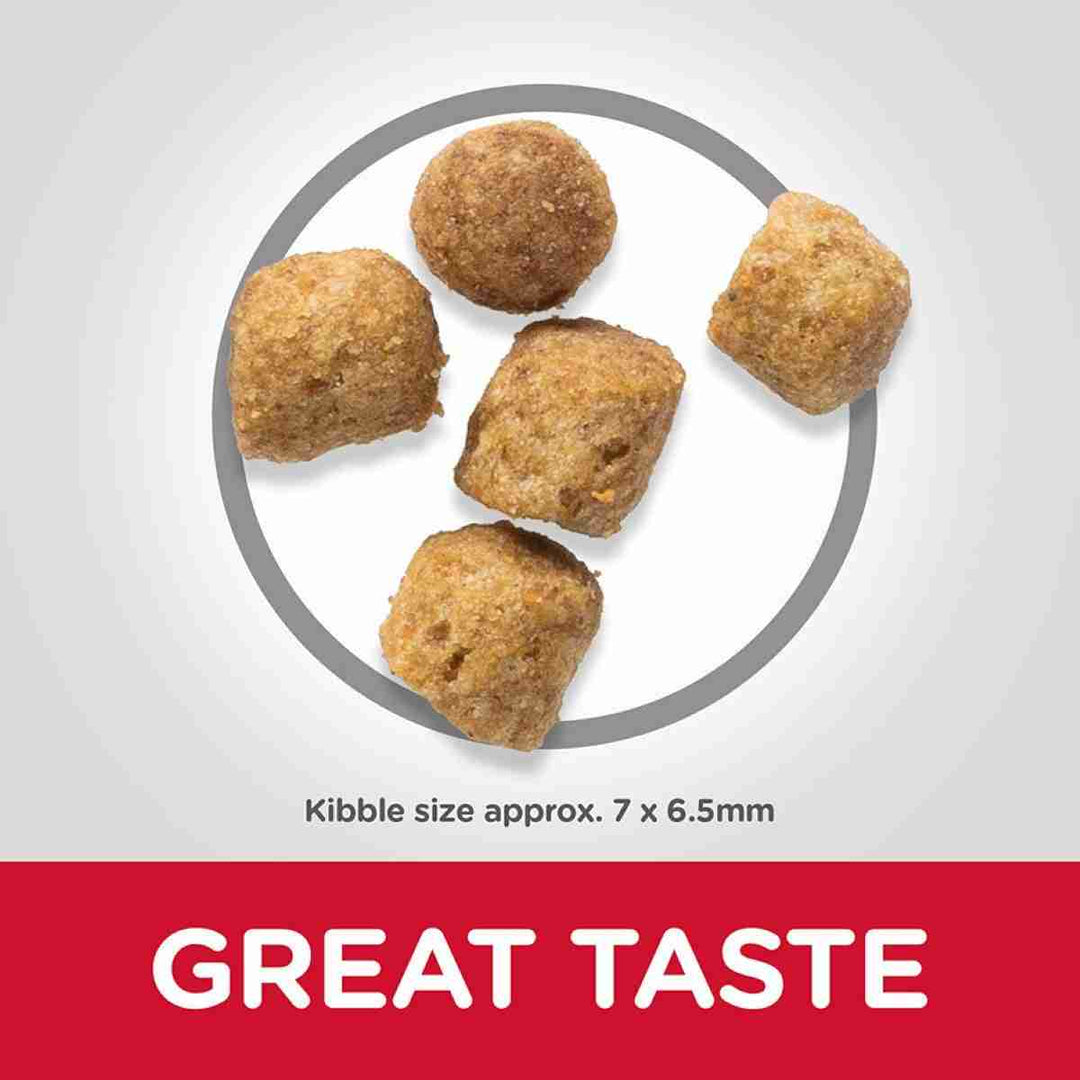 Delicious wet food for sterilised cats