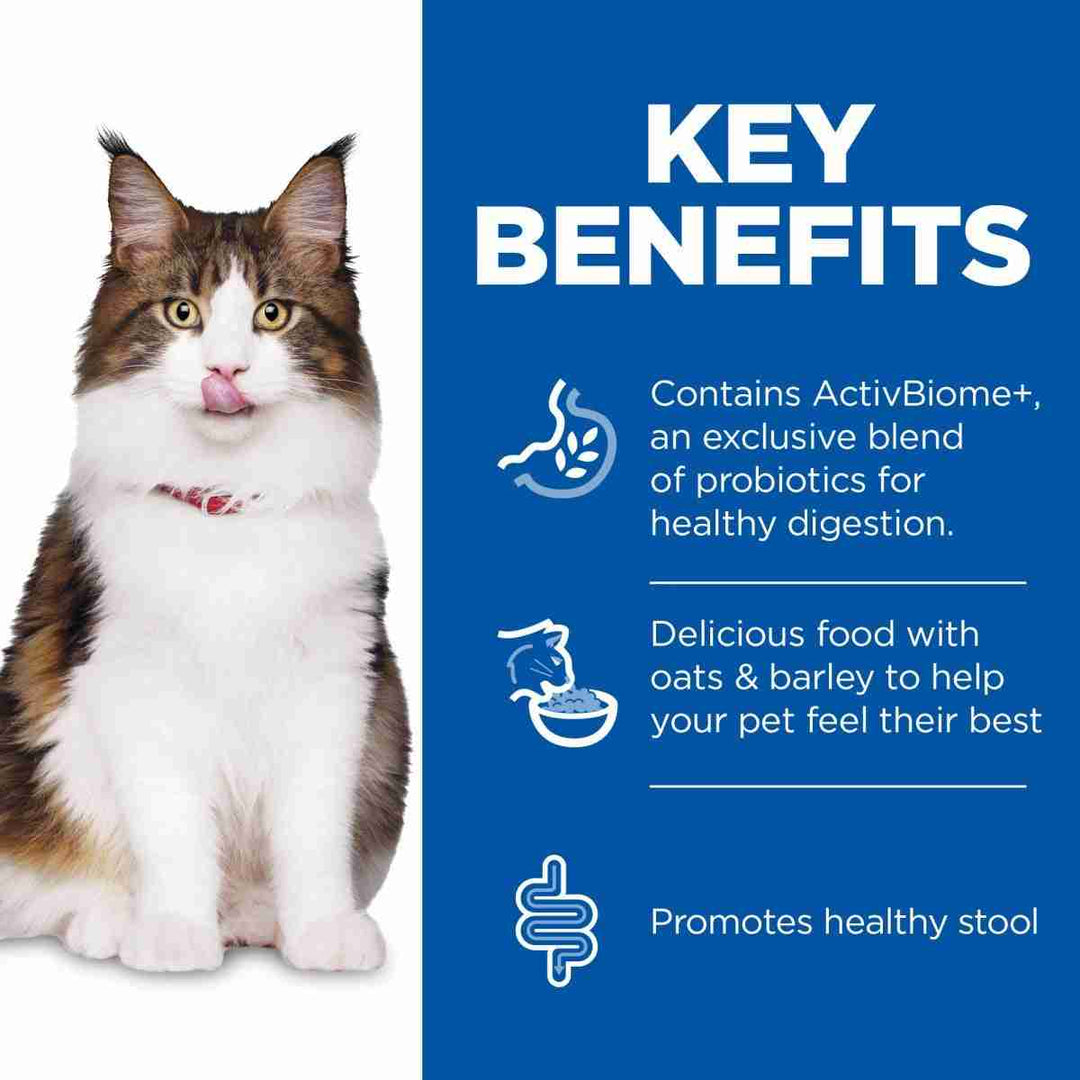 Wet food for cat digestion