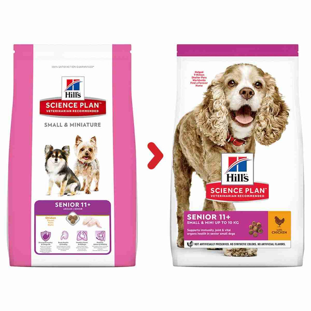Dry food for aging small dogs