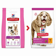 Dry food for aging small dogs