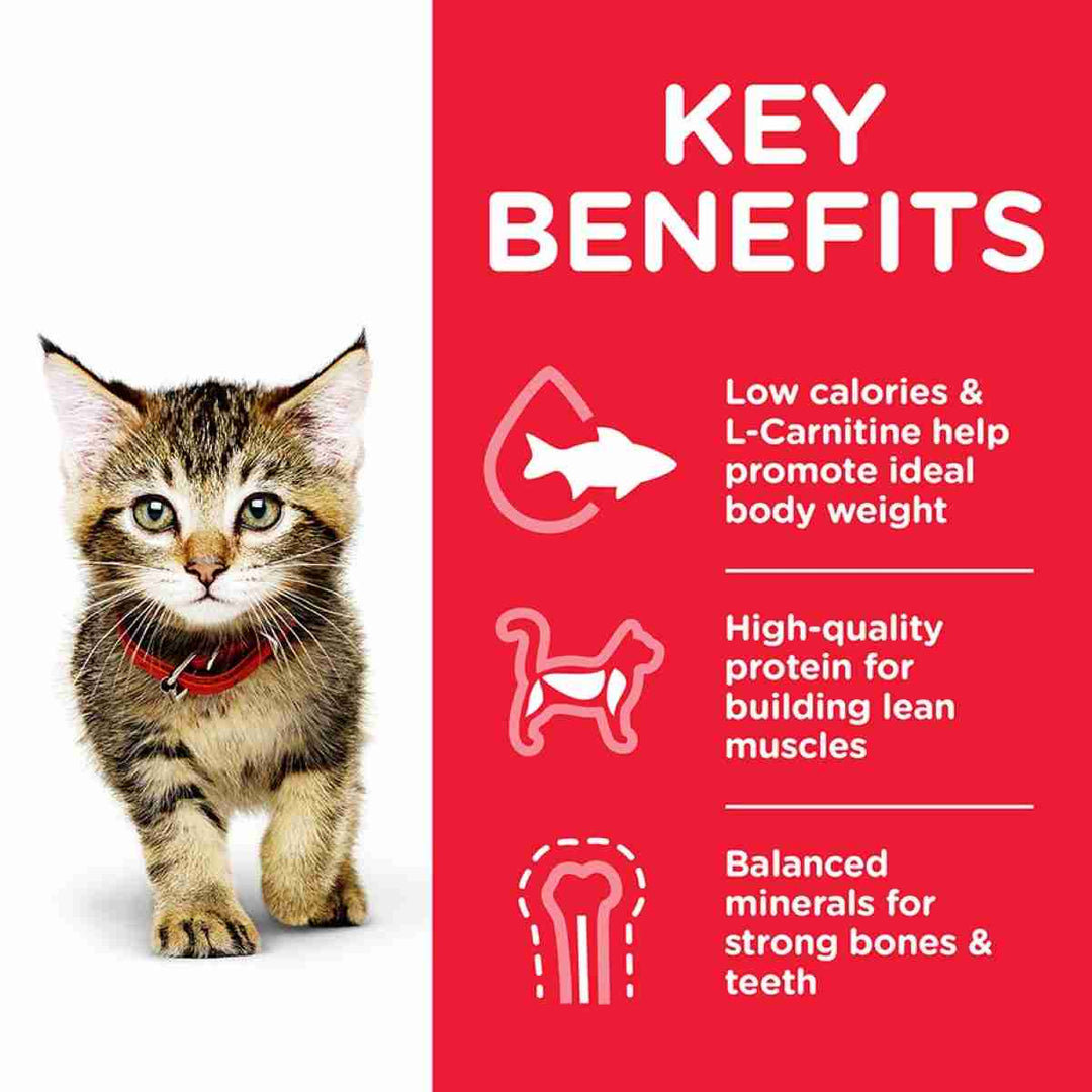 Science Plan chicken kitten food