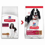 Load image into Gallery viewer, Balanced dry dog food

