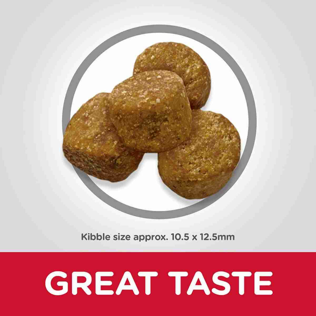 Balanced diet for dogs