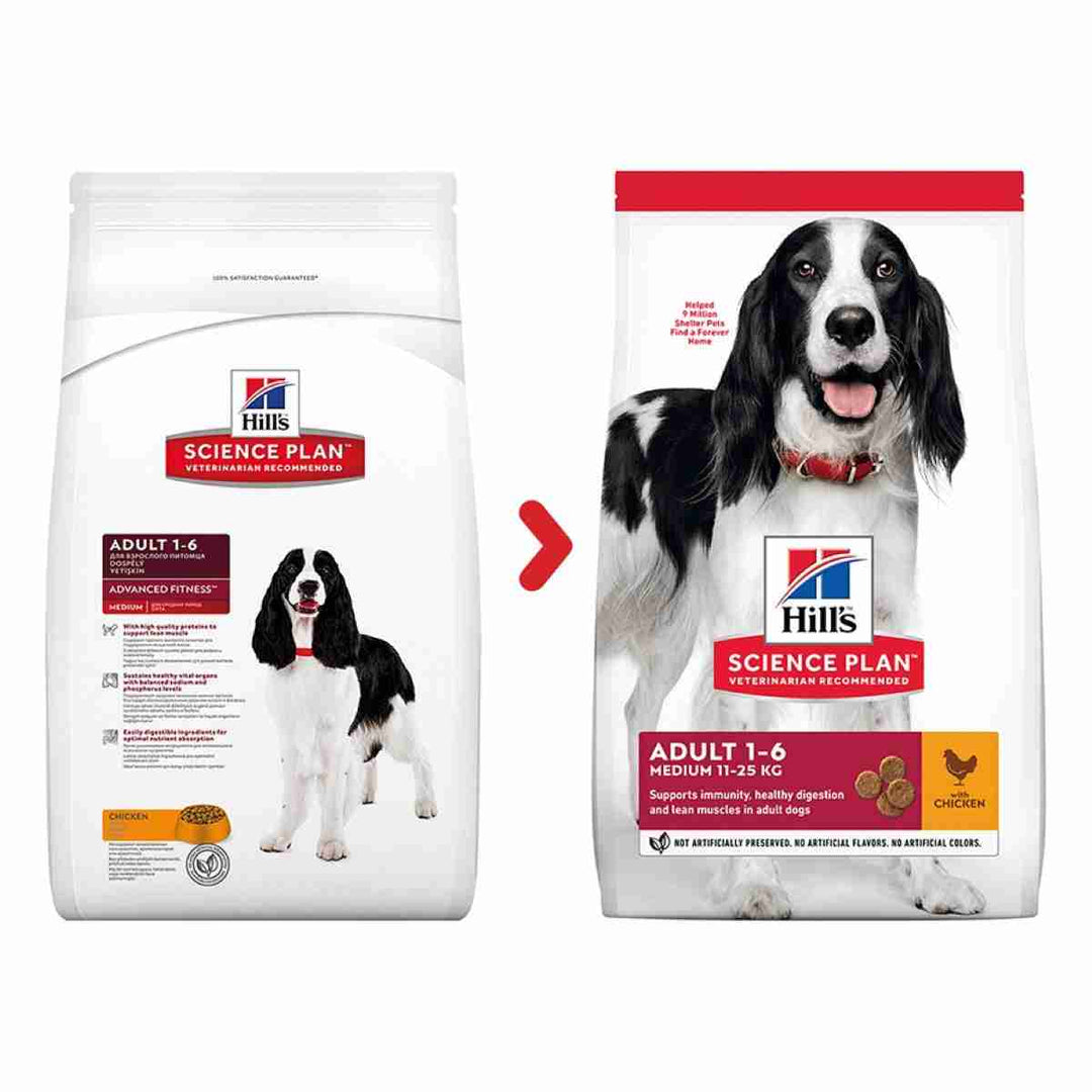 Balanced dry dog food