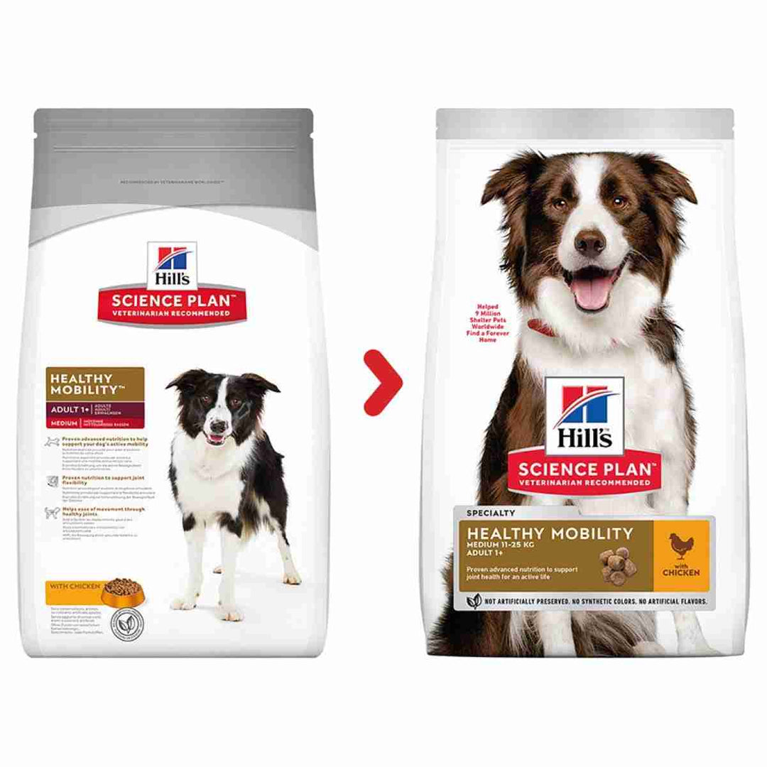 Joint care dry dog food