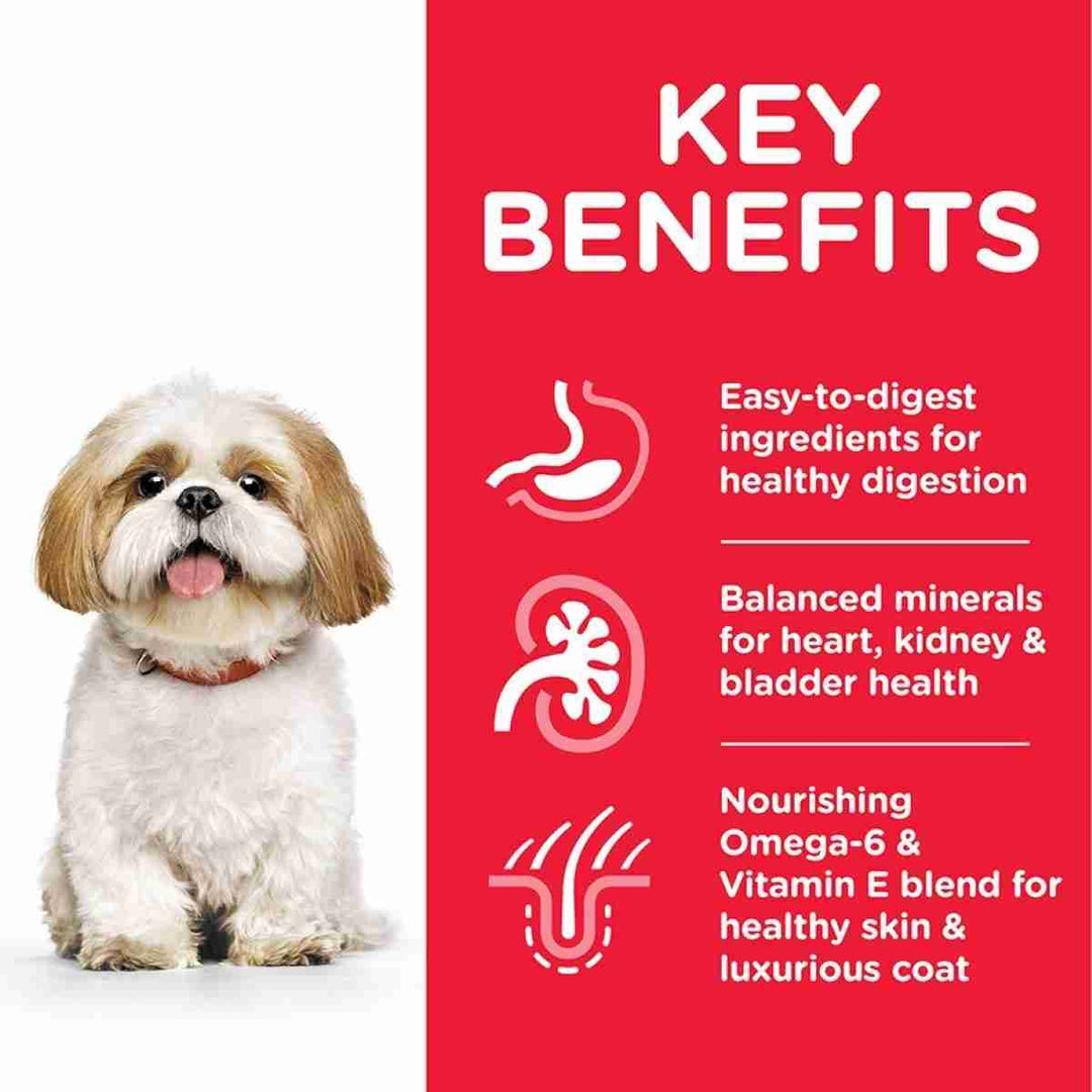 Senior small dog food chicken