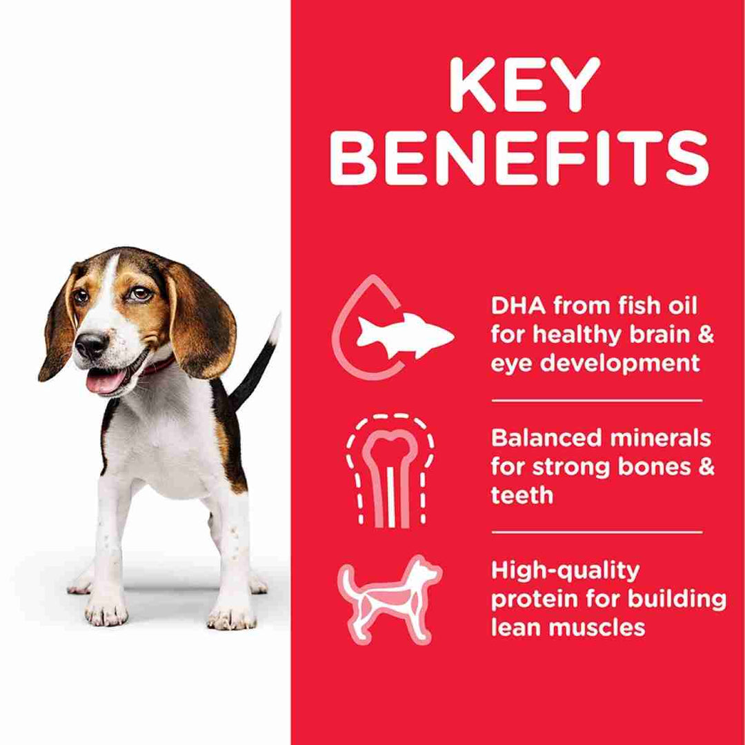 Science Plan puppy kibble