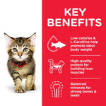 Load image into Gallery viewer, Hill&#39;s tuna kitten kibble
