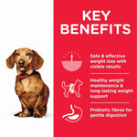 Load image into Gallery viewer, Weight control for dogs

