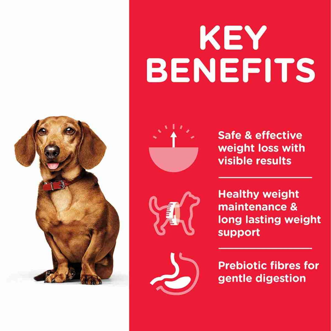 Weight control for dogs