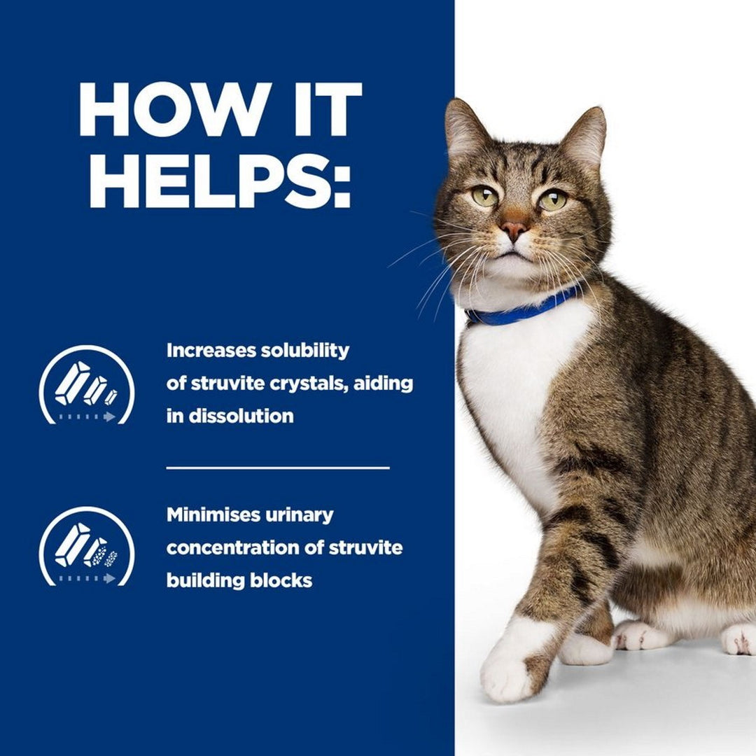 Bladder health cat kibble