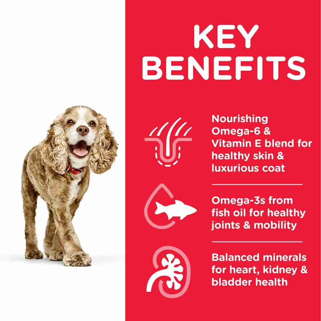 Hill's 11+ mini breed nutrition