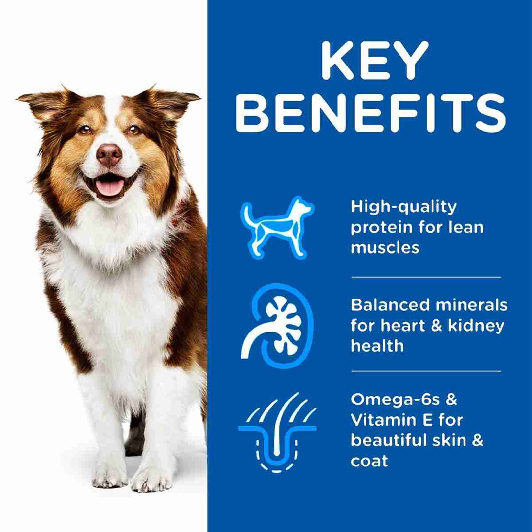 Hill's mature dog food tins