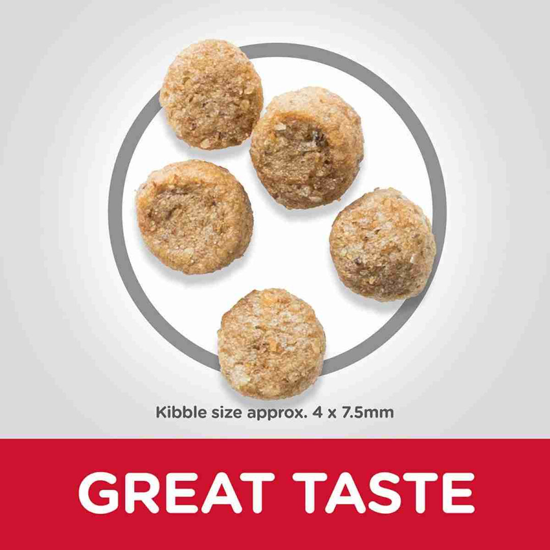 Light food for older small dogs