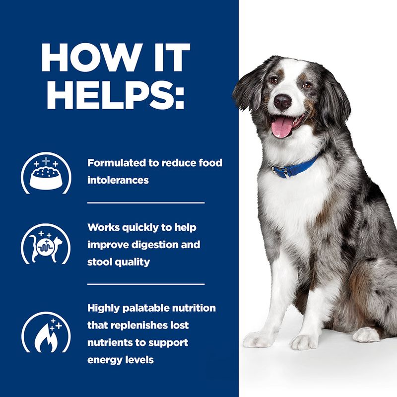 Vet recommended dog food