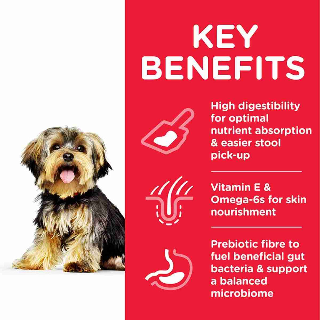 Skin health dog formula