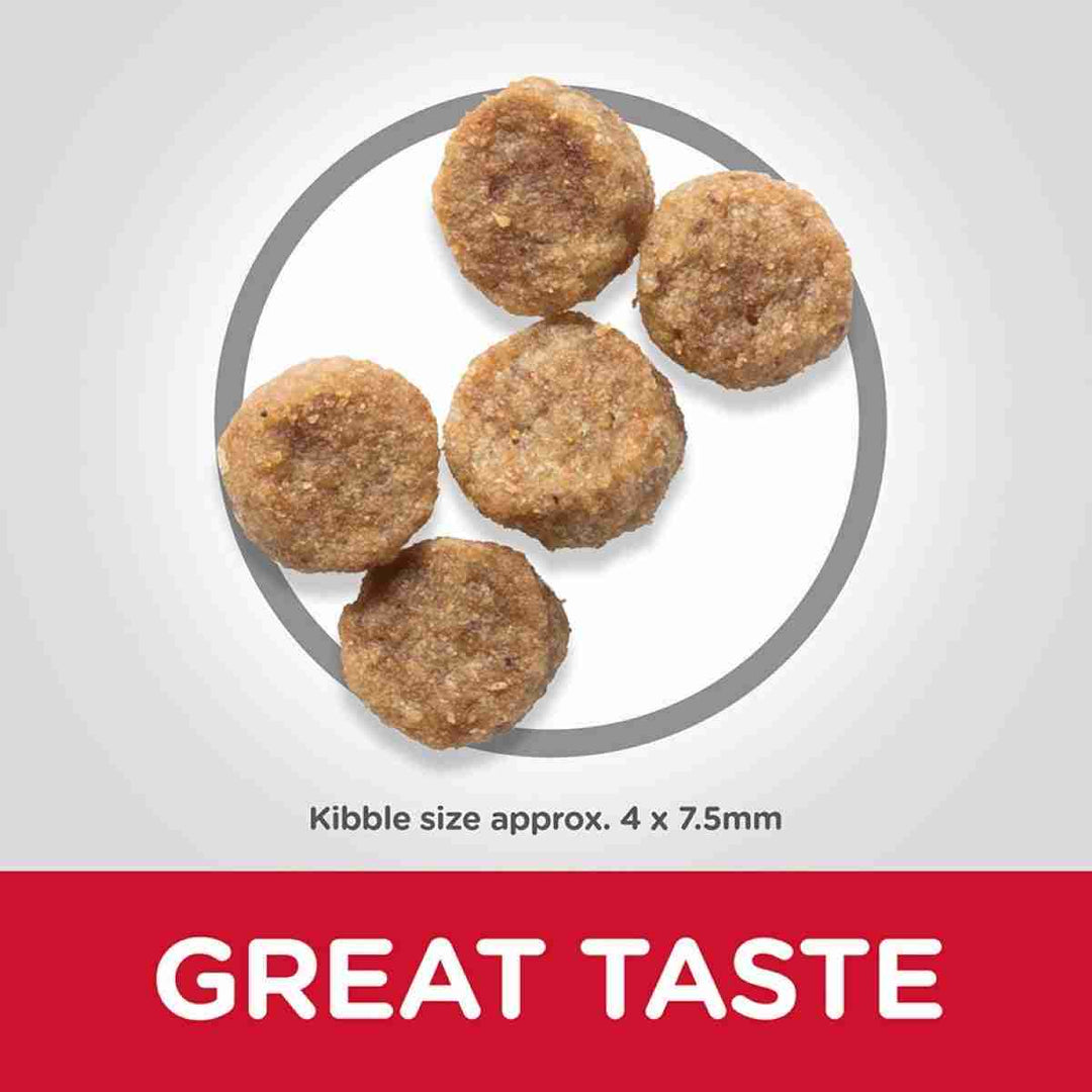 Science Plan mini dog food