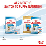 Load image into Gallery viewer, Dog food for nursing dogs
