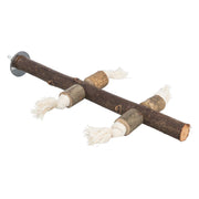 Cat toy with wooden sticks and cotton ends on a white background