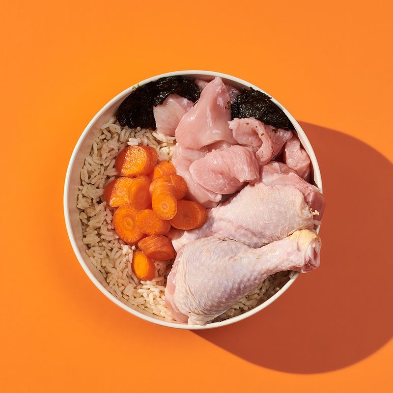 Adult dog food turkey chicken