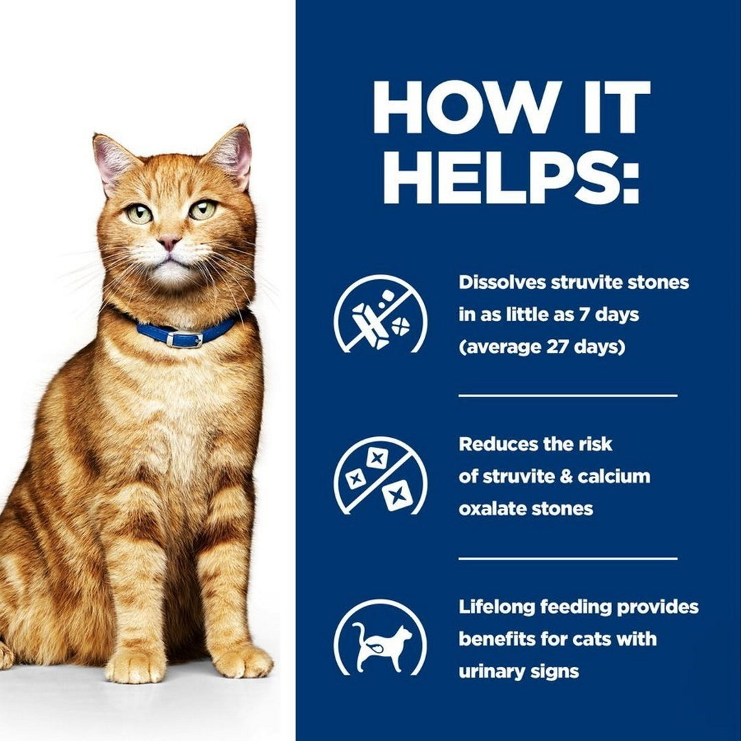 Cat with a blue collar on a white background, next to text about stone dissolution benefits.