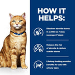 Load image into Gallery viewer, Cat with a blue collar on a white background, next to text about stone dissolution benefits.
