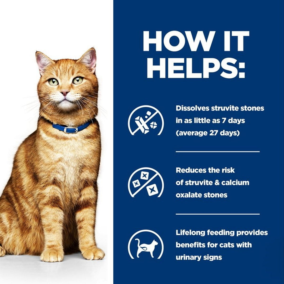 Cat with a blue collar on a white background, next to text about stone dissolution benefits.