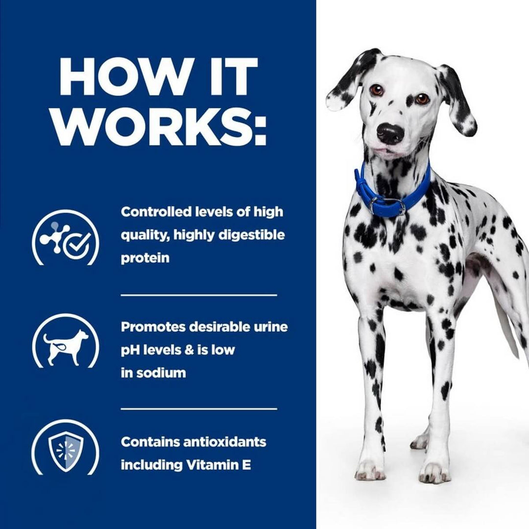 Dalmatian dog with text on a blue background about a pet product's benefits