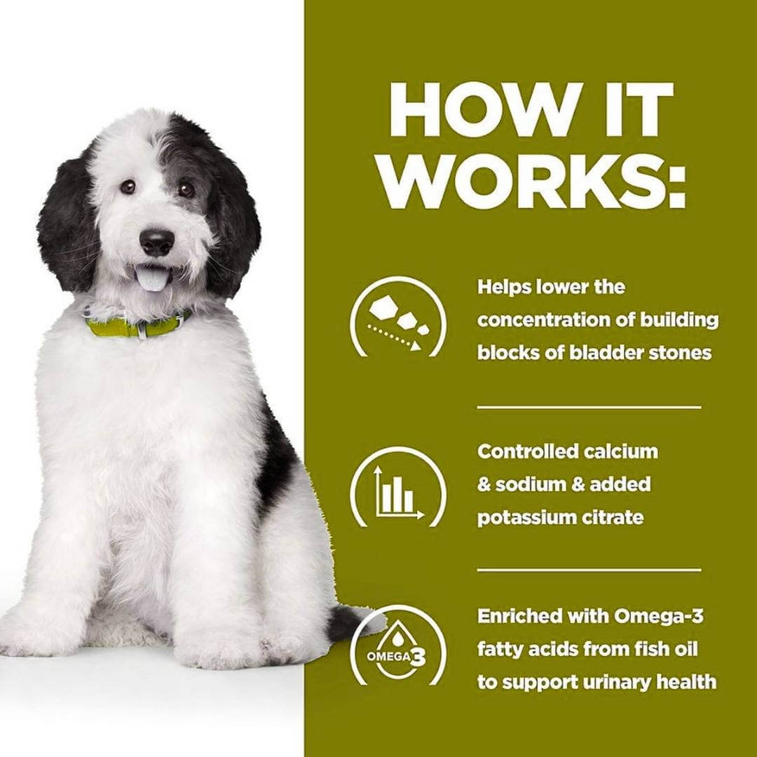 Dog with text explaining how a product works to lower bladder stone concentration.