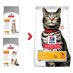 Load image into Gallery viewer, Cat food for urinary health
