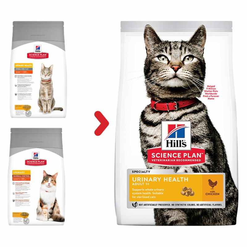 Hill's Science Plan cat food package with a cat on the label against a white background