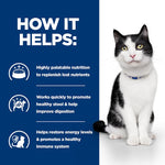 Load image into Gallery viewer, Vet recommended cat food pouches
