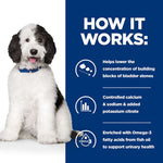 Load image into Gallery viewer, Vet-recommended c/d dog food tin
