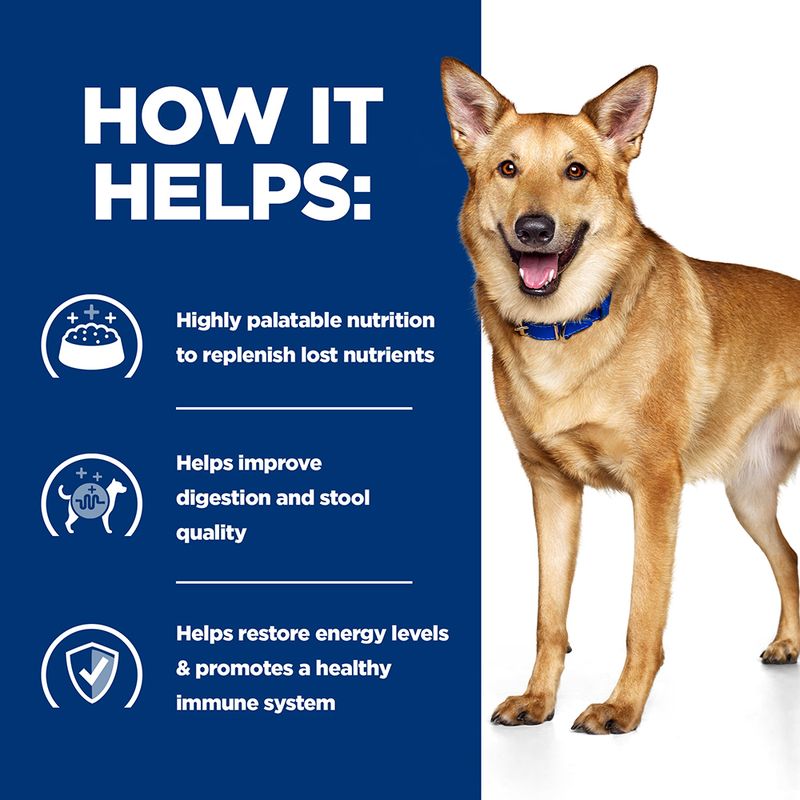 Hill's digestive support dog stew