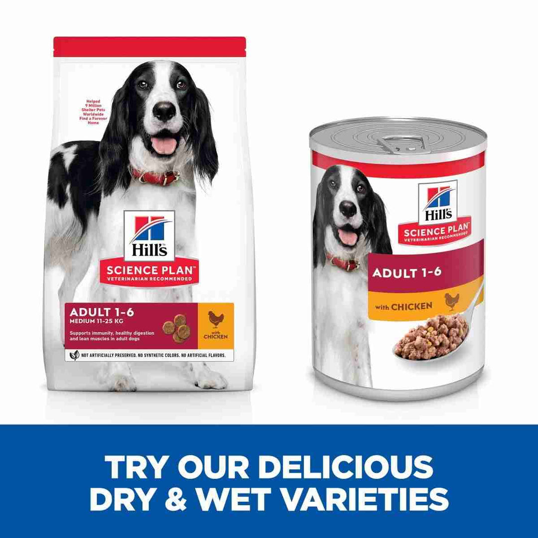 12 pack dog tins