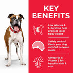 Load image into Gallery viewer, Science Plan dog tin
