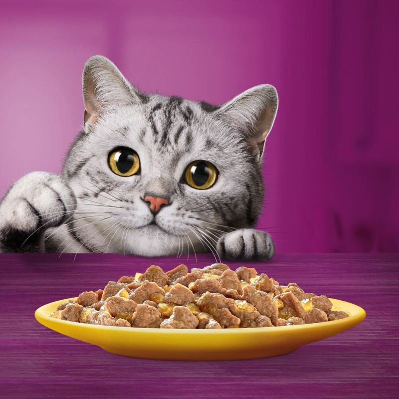 Whiskas jelly pouches variety 