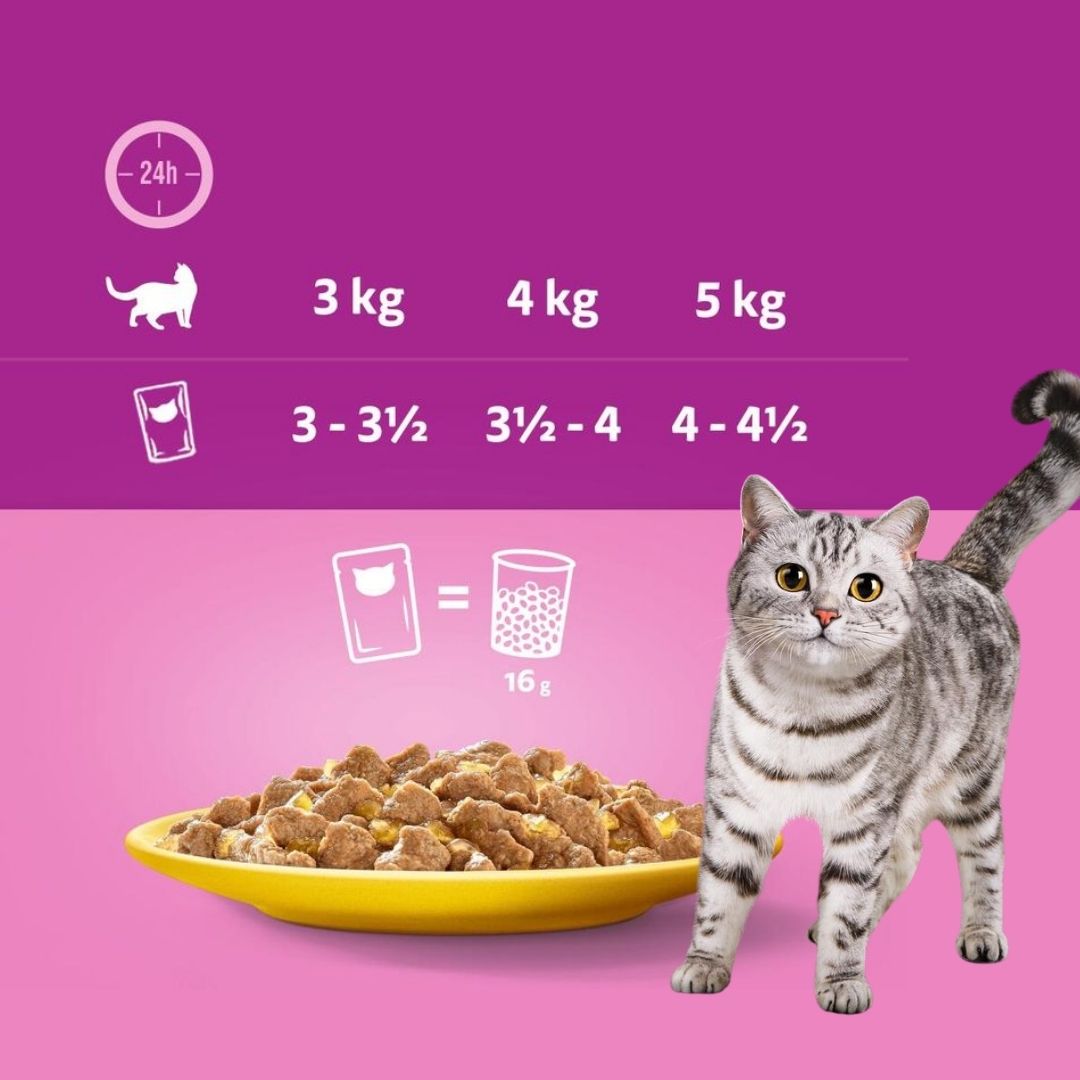 Whiskas 11+ wet food