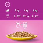 Load image into Gallery viewer, Tasty jelly meals for seniors
